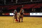 Quadrille - 00371